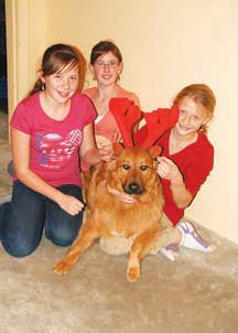 HELP for THE ANIMALS: Kate Fisher and her dog Skipper, Lauren Mander, and Melinda Boyd are selling jewellery to raise money for the SPCA.